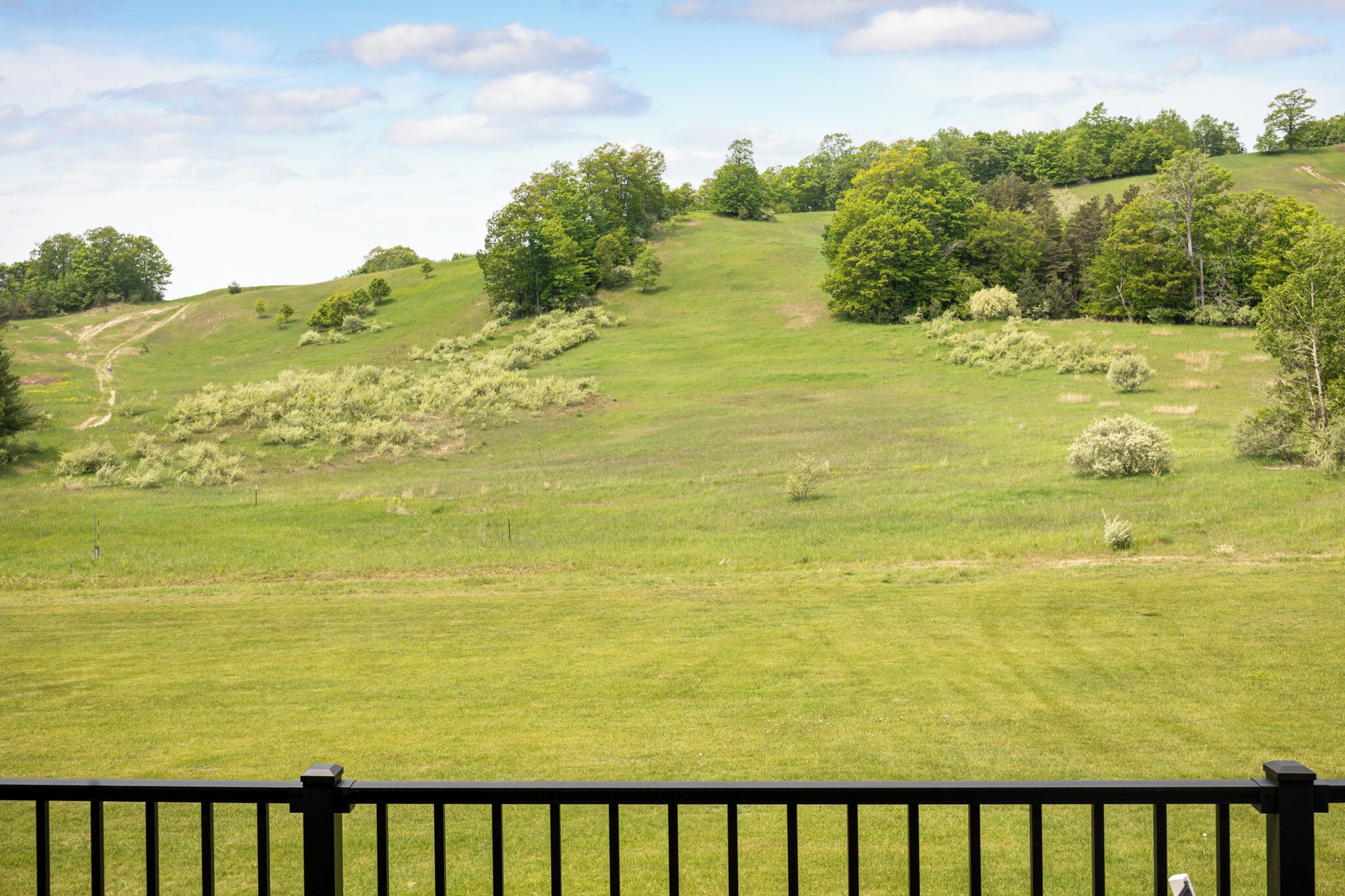 A grassy landscape with trees and a dirt path.