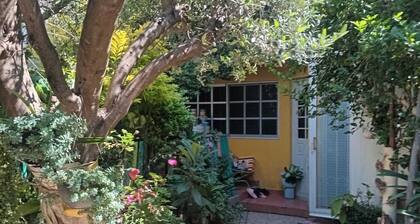 Room in a family house