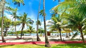 A beach with palm trees and a red pathway. - CLUB MERIDIONAL CARNEIROS (Tamandaré)