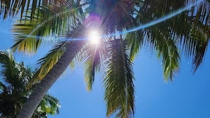 A beach with palm trees, clear blue sky, and calm sea with boats. - CLUB MERIDIONAL CARNEIROS (Tamandaré)