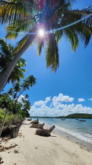 บ�นชายหาด