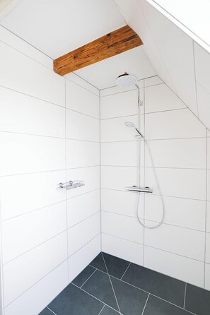 Shower, hair dryer