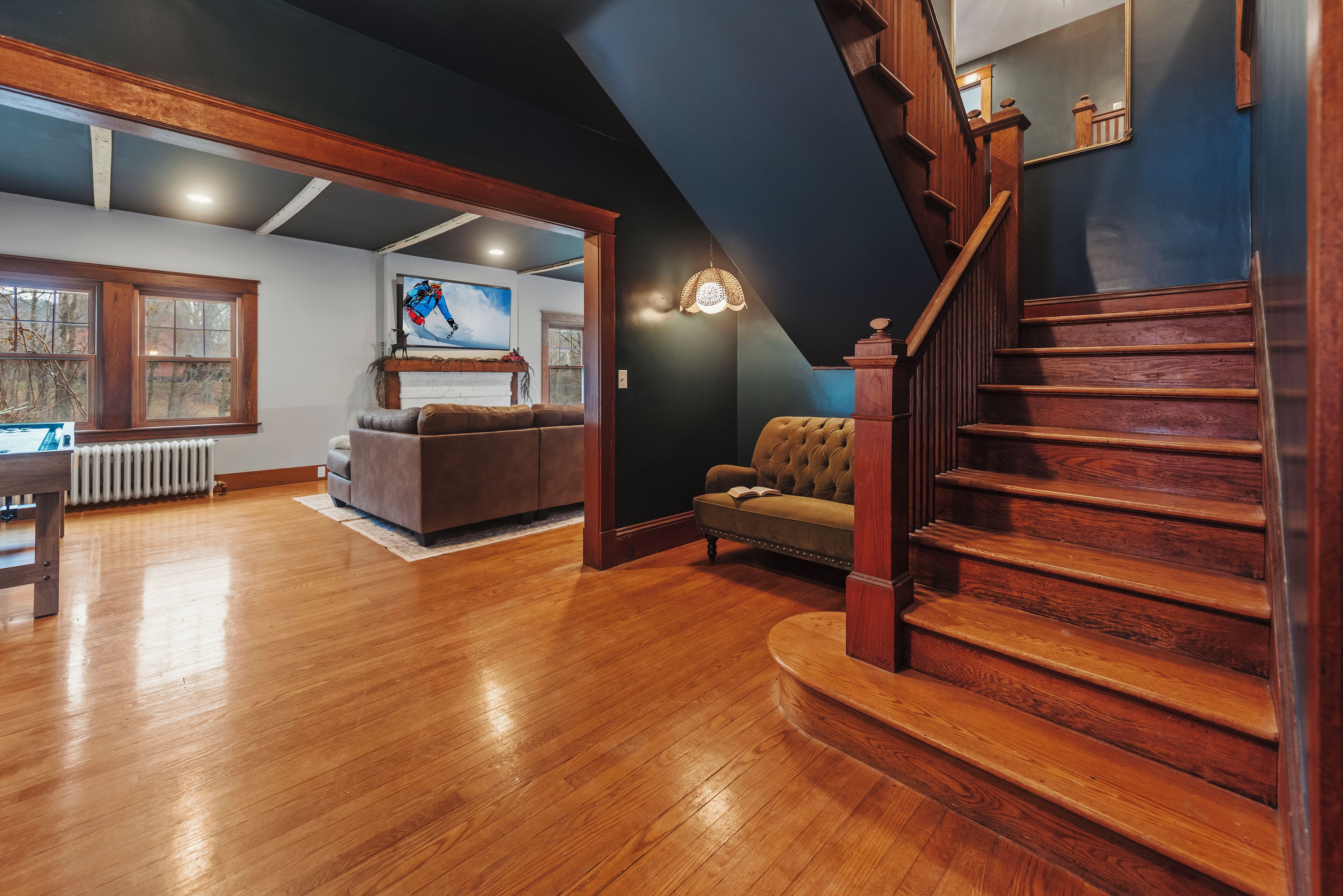 Smart TV, fireplace, books