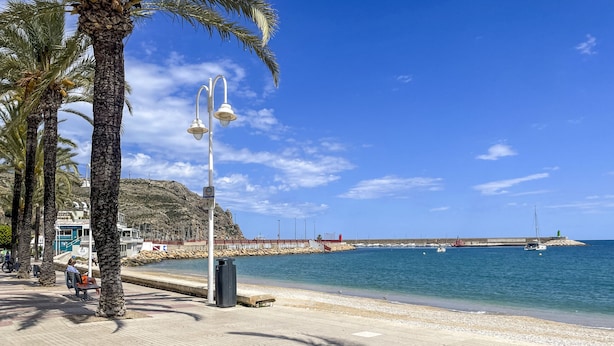 Una playa con palmeras, un banco y un muelle al fondo.