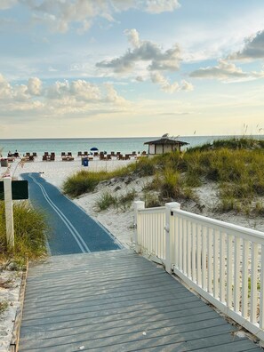 بالقرب من الشاطئ