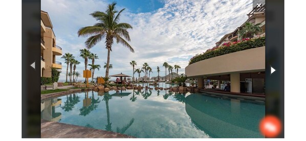 A resort pool area with palm trees, a clear sky, and a reflection of the surroundings in the water.