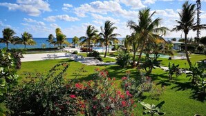 Un resort con piscina, palmeras y vista al océano.
