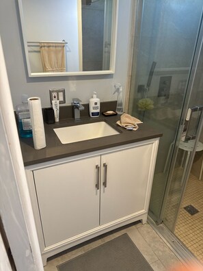 Hair dryer, towels, soap, toilet paper