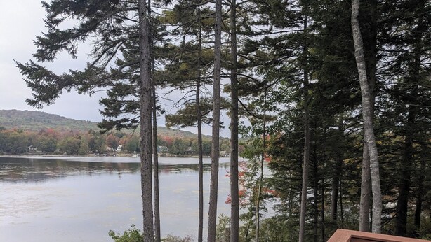 Eine Holzterrasse mit Blick auf einen See, umgeben von hohen Bäumen und einer entfernten Ansicht von Häusern am Ufer.