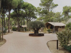 Exterior - wecamp l'Escala Punta Milà  (Torroella de Montgri)