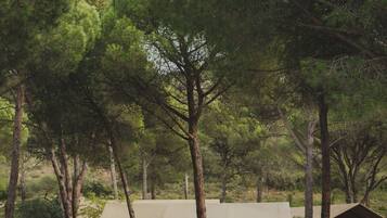 Una piscina al aire libre de temporada