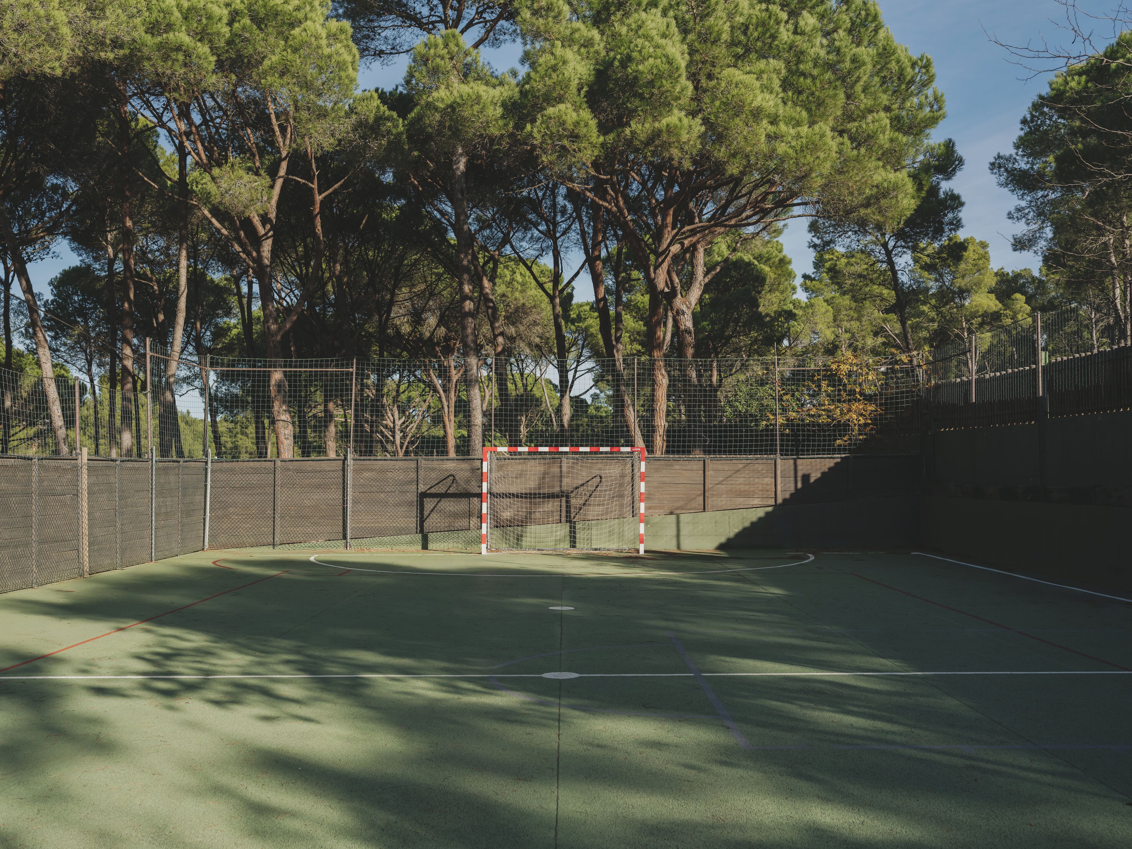 Terrain de sport