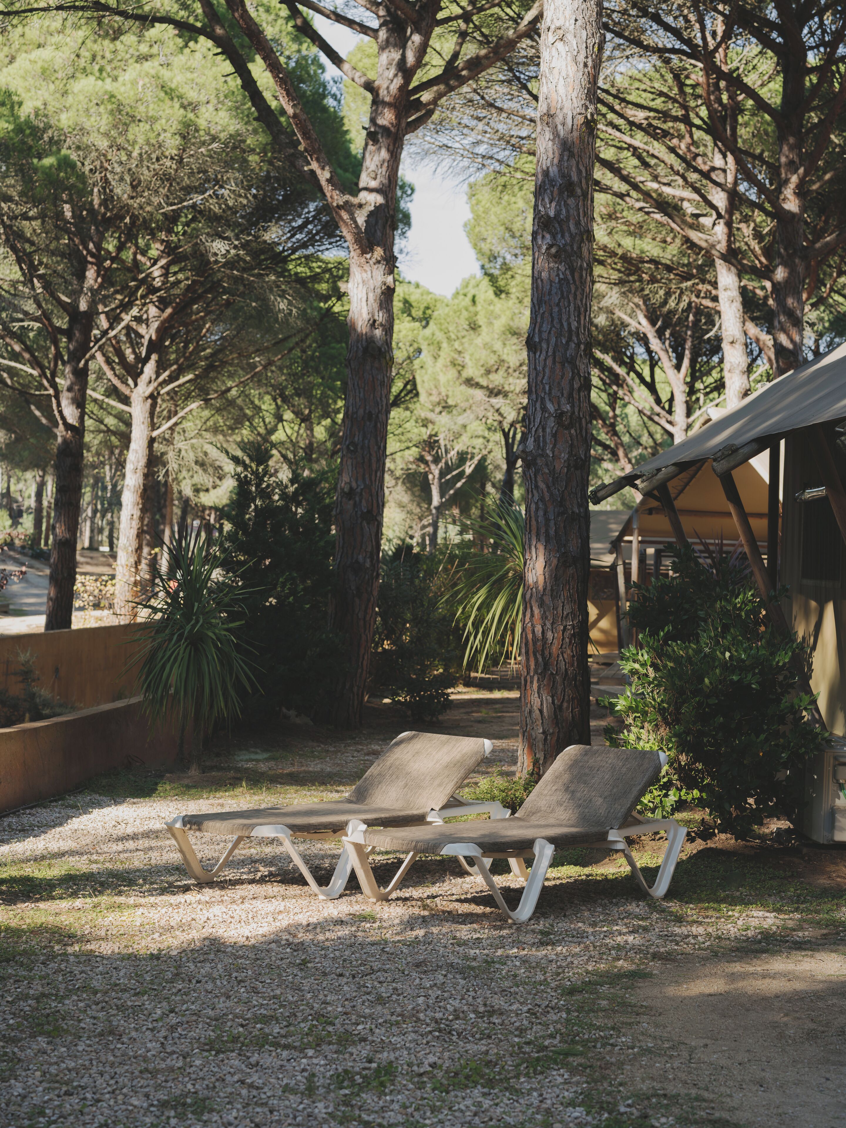 Dúplex Confort | Terraza o patio