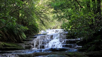 Apartemen | Pemandangan dari properti