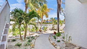 Un sendero conduce a una zona de piscina rodeada de palmeras y diversas plantas.