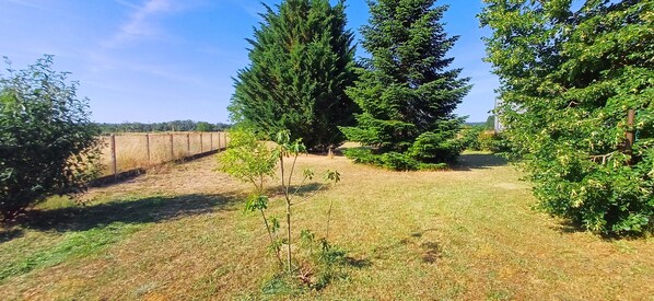 المنطقة المحيطة بالمنشأة