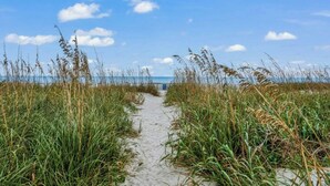 A sandy path leading to a beach with tall grasses on either side. - Regency Towers 907- Oceanfront 3BR- Pool (Myrtle Beach)