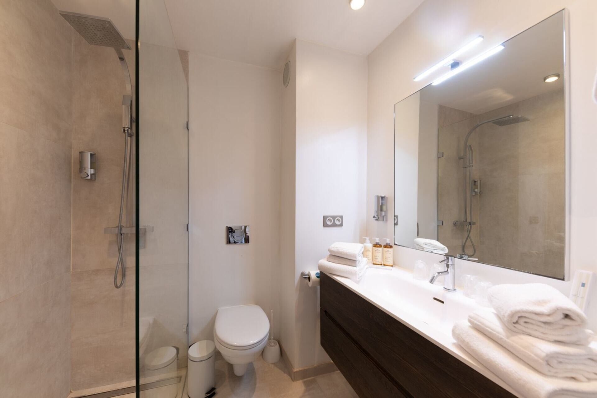 Dusche, Haartrockner, Handtücher