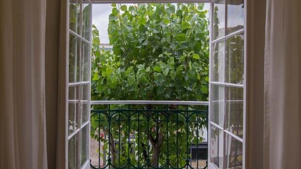 Ein offener Balkon mit Blick auf einen grünen Baum und einem Metallgeländer.