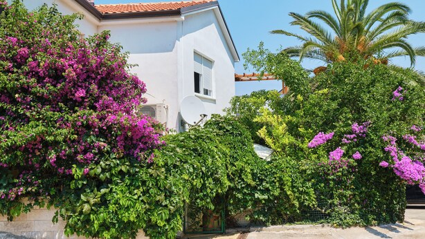 A white building with a red-tiled roof, surrounded by lush greenery and vibrant purple flowers.