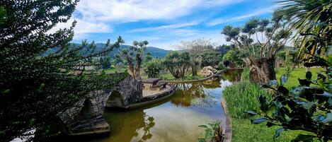 Área da propriedade