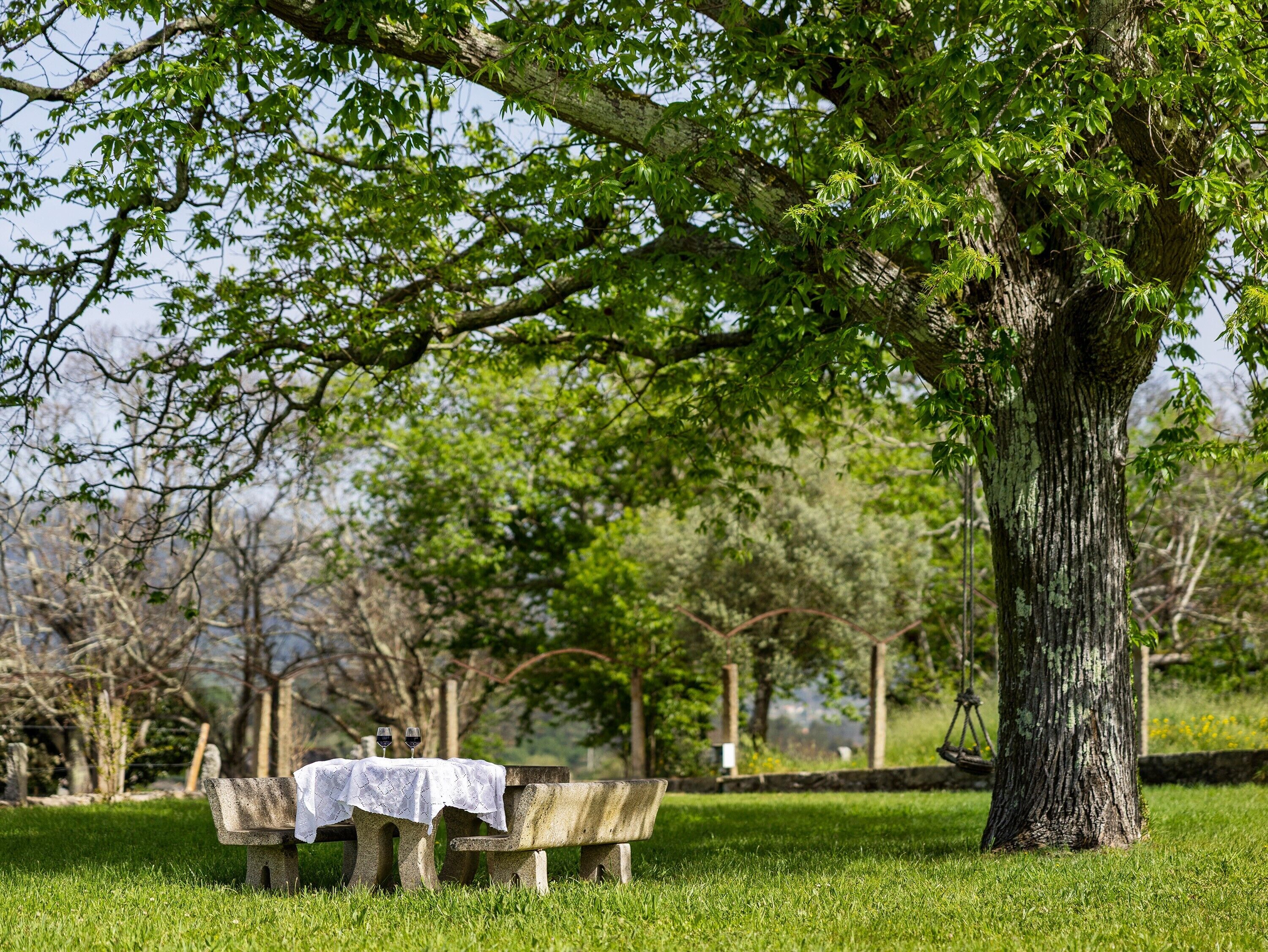 Um banco de parque com uma mesa e dois copos de vinho.