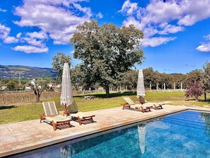 Pool - Exclusive Estate in Ponte de Lima with Heated Pool (Ponte de Lima)