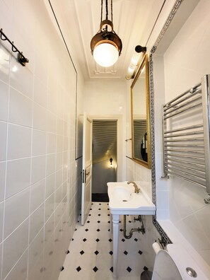 Shower, hair dryer, bidet, towels