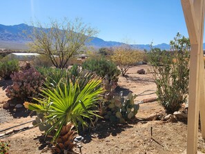 المنطقة المحيطة بالمنشأة