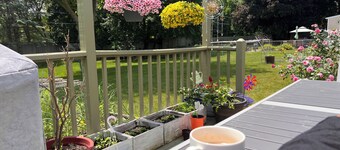 Charming 3-bedroom house in Pleasant Rochester Brighton with fitness , Wifi, AC