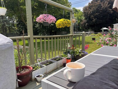 Charming 3-bedroom house in Pleasant Rochester Brighton with fitness , Wifi, AC