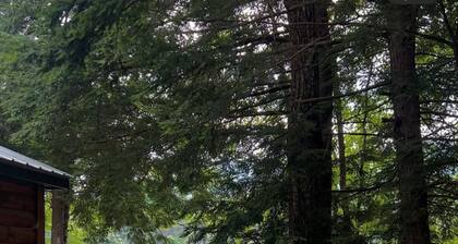 Beautiful Moose Pond Waterfront Home – 3BR/2BA w/ Hot Tub, Near Ski Mountain!