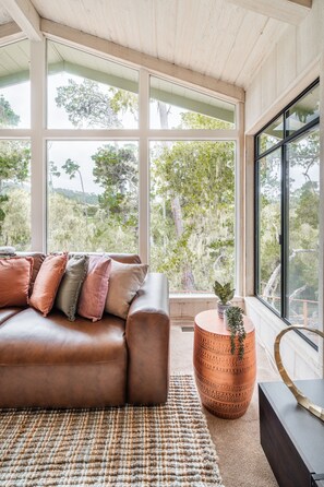 Televisión y chimenea