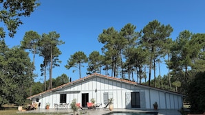 A modern house with a swimming pool, surrounded by tall pine trees.
