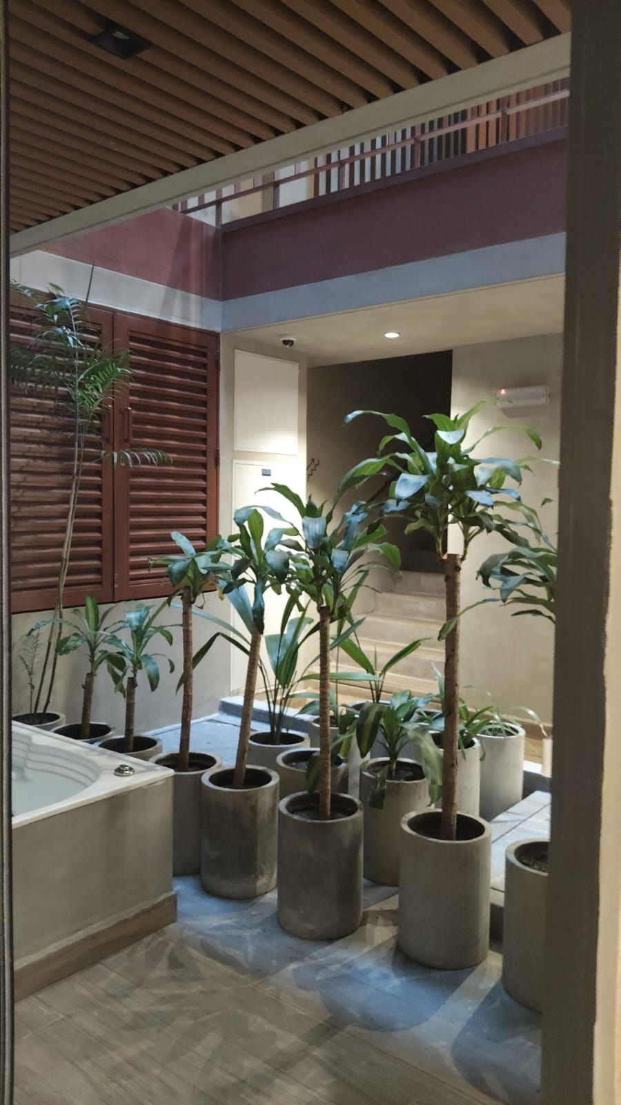 A modern interior with a wooden ceiling, potted plants, and a staircase leading to an upper level.