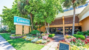 A hotel entrance with a sign for 'The Caravelle,' a paved pathway, and a flower bed. - Remodeled 1BR at Caravelle ,Oceanview Suite, Pools (Myrtle Beach)