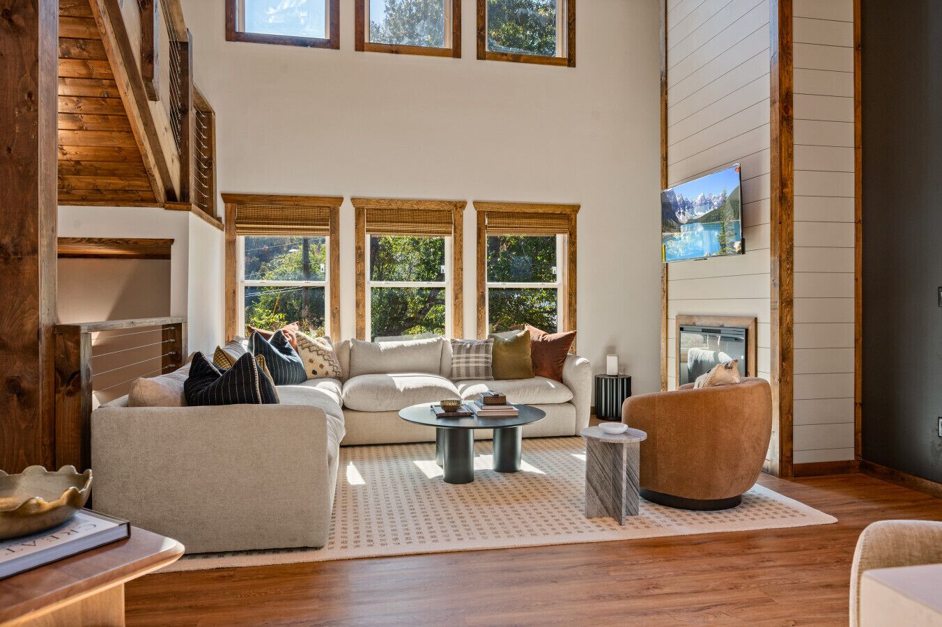 TV, fireplace