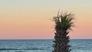 Una palmera en la playa con una persona en el agua al fondo.