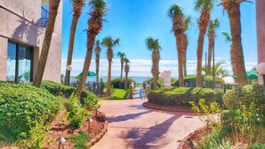 A pathway leading to a building with palm trees and a clear sky. - Direct 1BR Oceanfront Views at Palms - Nice Pools (Myrtle Beach)