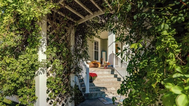 A covered outdoor staircase leading to a house entrance, surrounded by lush greenery.