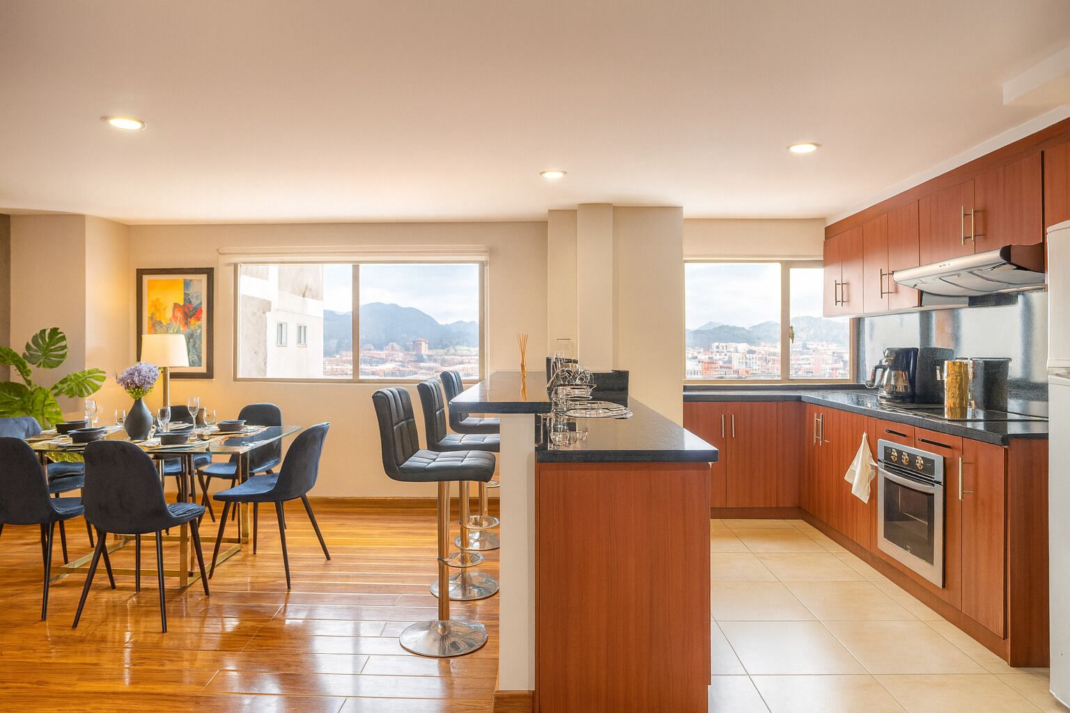 Apartment, Park View