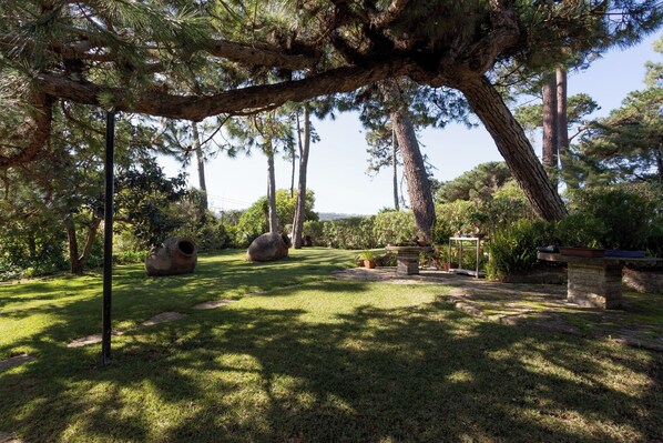 A serene garden with large trees, a stone bench, and a rustic stone table.