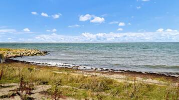 Beach nearby, fishing
