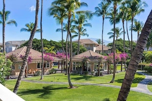 Property grounds - Relax & Unwind Infinity Pool, Spa, BBQ & Concierge Walk to A-bay - Vrkcv (Waikoloa)