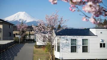 A residential area with a house, a road, and a mountain in the background.