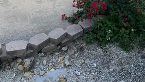 A swimming pool with a curved design, surrounded by a concrete deck and a low stone wall.