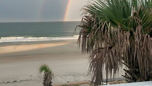 A beach with a visible rainbow, palm trees, and a clear view of the ocean.
