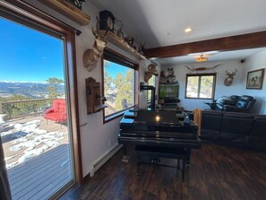 Smart TV, fireplace, ping pong, books