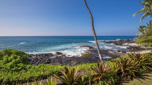 A coastal landscape with rocky terrain, a palm tree, and ocean views. - Direct Ocean Front Steps From the Beach Large Lanai - Vrkcv (Kailua-Kona)