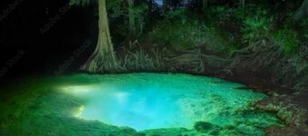 Blue Spring Hideaway